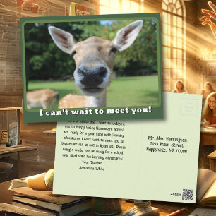 Nosy Deer Can't Wait to Meet You Teacher Note Postcard