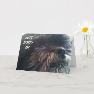 NOSY DOG ASKS "YOU ARE 50?" FUN BIRTHDAY CARD