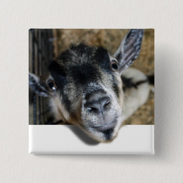 Nosy Goat Looking Out 15 Cm Square Badge (Front)