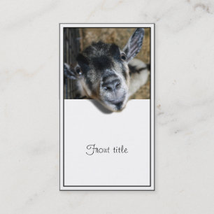 Nosy Goat Looking Out Business Card