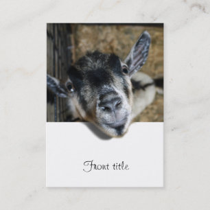 Nosy Goat Looking Out Business Card