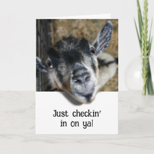 Nosy Goat Looking Out Card