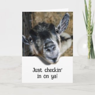 Nosy Goat Looking Out Card