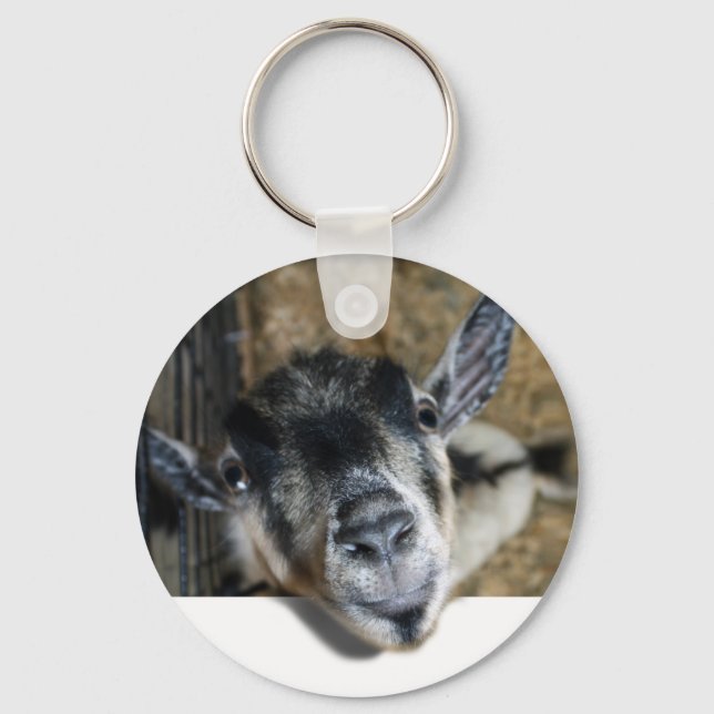 Nosy Goat Looking Out Key Ring (Front)