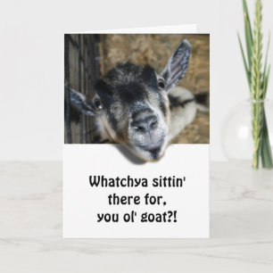 Nosy Goat Looking Up - Birthday Card