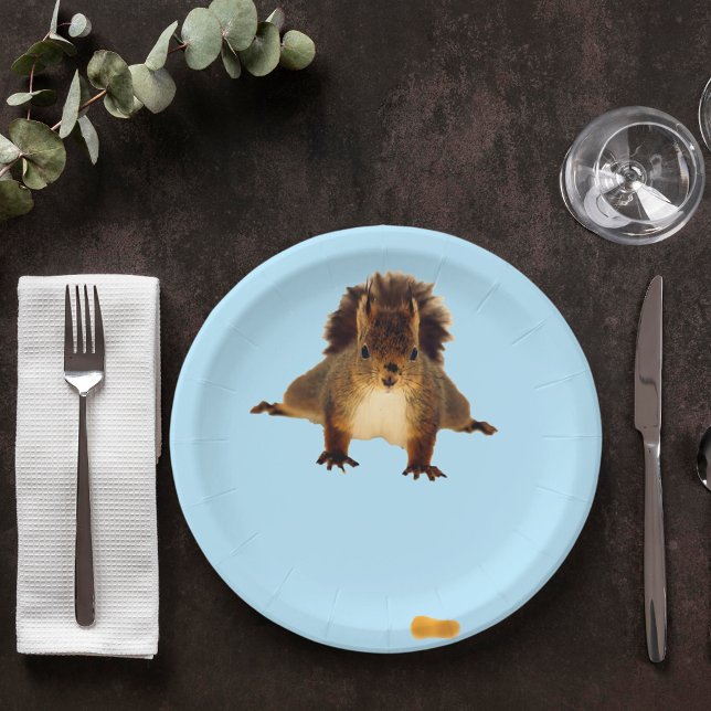 Nosy red squirrel in snow blue paper plate (Creator Uploaded)