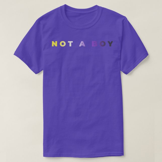 Not A Boy Subtle Nonbinary Flag Enby Pride Trans L T-Shirt (Design Front)