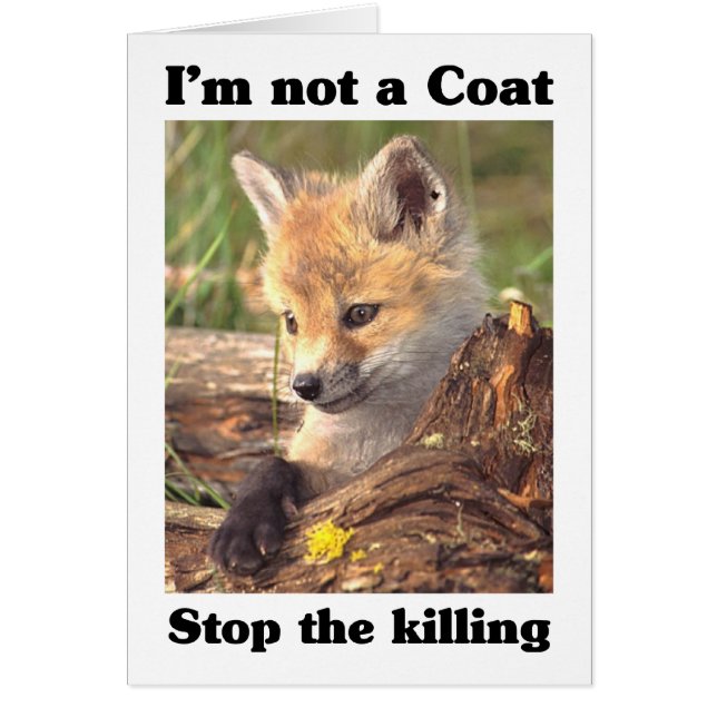 Not A Coat-Fox (Front)