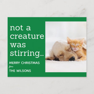 not a creature was stirring green photo christmas postcard