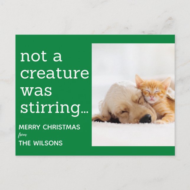 not a creature was stirring green photo christmas postcard (Front)