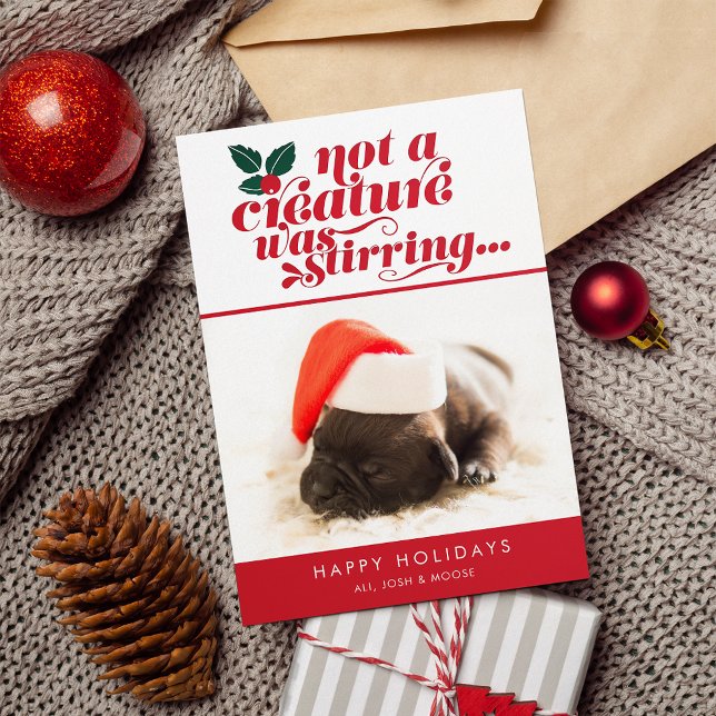 Not a Creature Was Stirring | Pet Christmas Photo Holiday Card (Creator Uploaded)