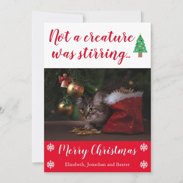 Not A Creature Was Stirring Pet Photo Holiday Card (Front)