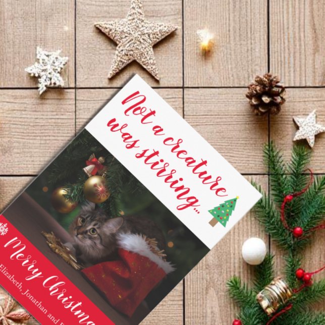 Not A Creature Was Stirring Pet Photo Holiday Card (Creator Uploaded)
