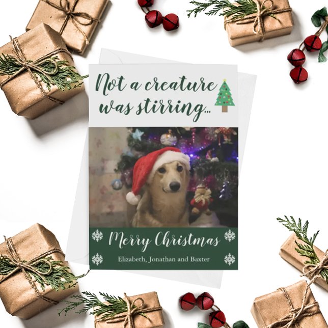 Not A Creature Was Stirring Pet Photo Holiday Card (Creator Uploaded)