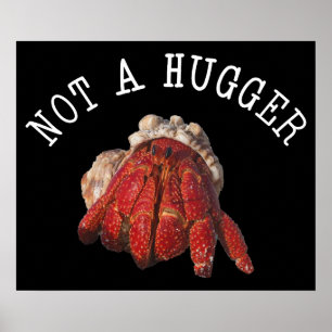 Not A Hugger Funny Hermit Crab Poster