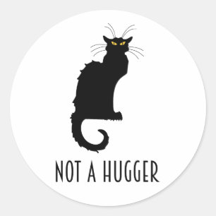Not A Hugger Funny Introvert Antisocial Cat Classic Round Sticker