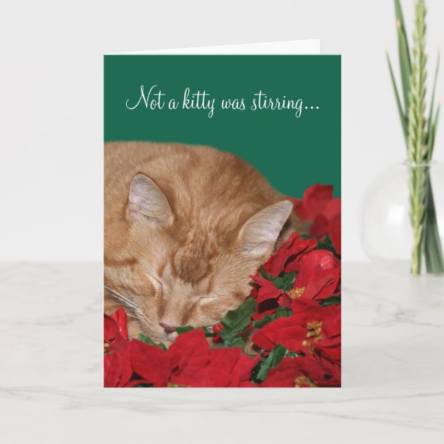 Not a kitty was stirring... holiday card (Front)