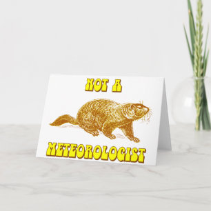 Not a Meteorologist Groundhog Card