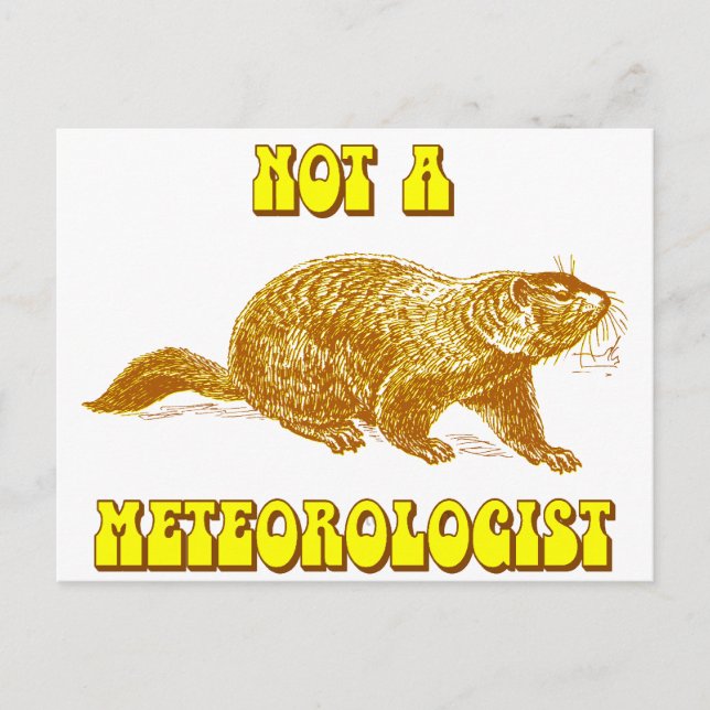 Not a Meteorologist Groundhog Postcard (Front)
