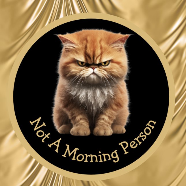 Not A Morning Person Or Your Text Angry Orange Cat Mug (Creator Uploaded)