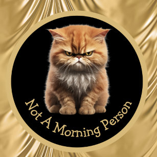 Not A Morning Person Or Your Text Angry Orange Cat Mug