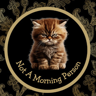 Not A Morning Person Or Your Text Angry Sleepy Cat Mug