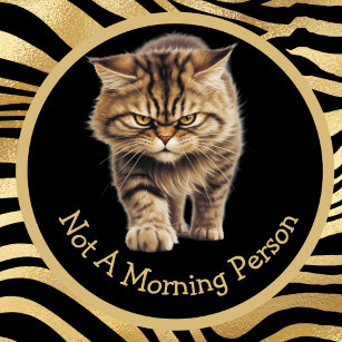 Not A Morning Person Or Your Text Funny Angry Cat Mug