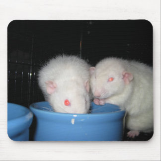 Not a Mouse Pad... Pad