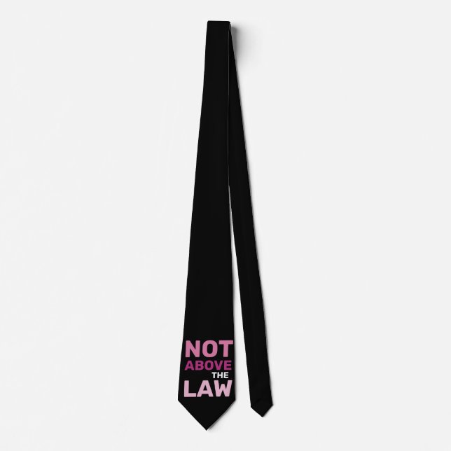Not Above the Law Feminist Political Protest Tie (Front)