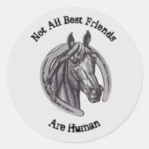 Not All Best Friends Are Human Horse Sketch Classic Round Sticker