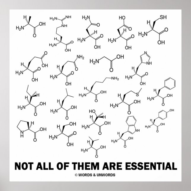 Not All Of Them Are Essential (20 Amino Acids) Poster (Front)