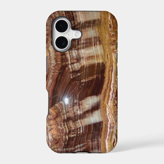 Not Bacon... Polished Geode Slice iPhone 5 Case (Back)