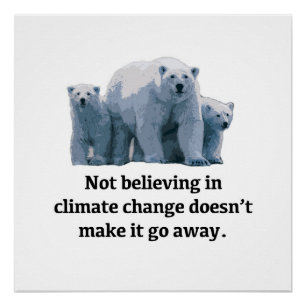 Not believing in climate change doesn't make it go poster