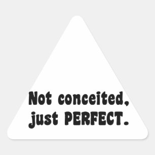 Not Conceited, Just Perfect Triangle Sticker