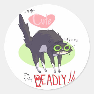 Not Cute Kitty Stickers