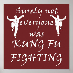 Not Everyone Was Kung Fu Fighting Poster