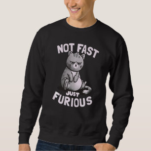 Not Fast Just Furious Cute Funny Cat Sweatshirt