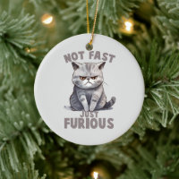 Not Fast, Just Furious – Grey Cat Humour