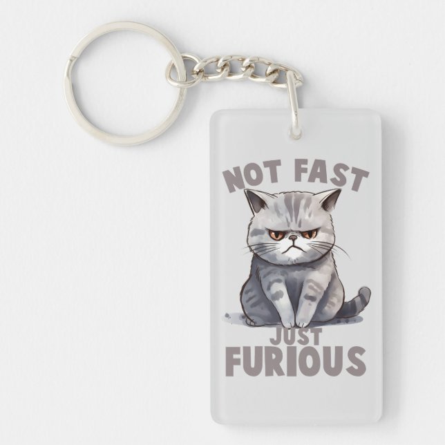 Not Fast, Just Furious – Grey Cat Humour Key Ring (Front)