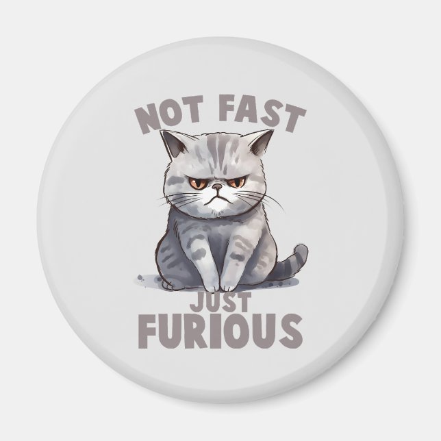 Not Fast, Just Furious – Grey Cat Humour Magnet (Front)
