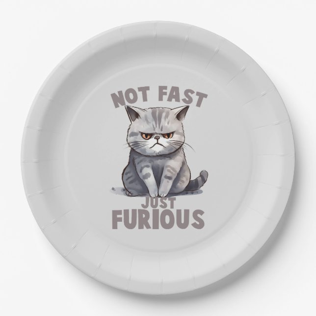 Not Fast, Just Furious – Grey Cat Humour Paper Plate (Front)