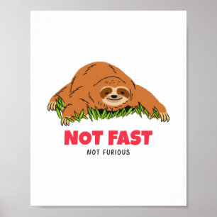 Not Fast Not Furious  Poster