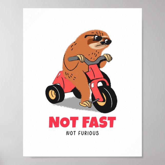 Not Fast Not Furious  Poster (Front)