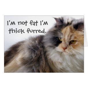 Not Fat! Thick Furred