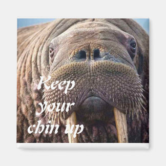 Not get well sympathy card: Hospice or illness Magnet