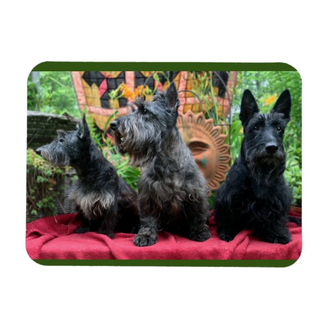 Not Gonna Look Magnet (Horizontal)