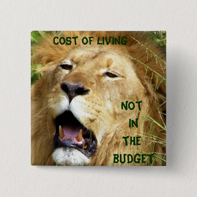 Not in the Budget_ Button (Front)