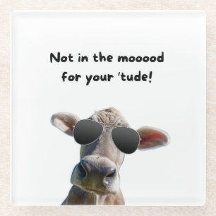 Not In the Mood Cow Glass Coaster