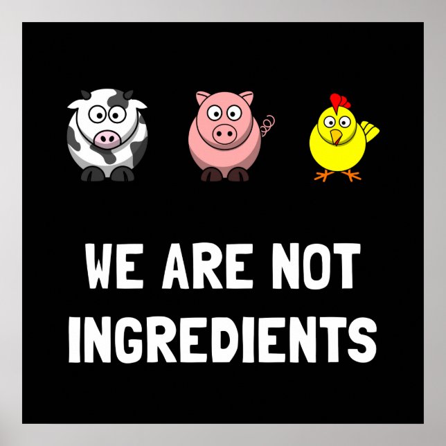 Not Ingredients Poster (Front)