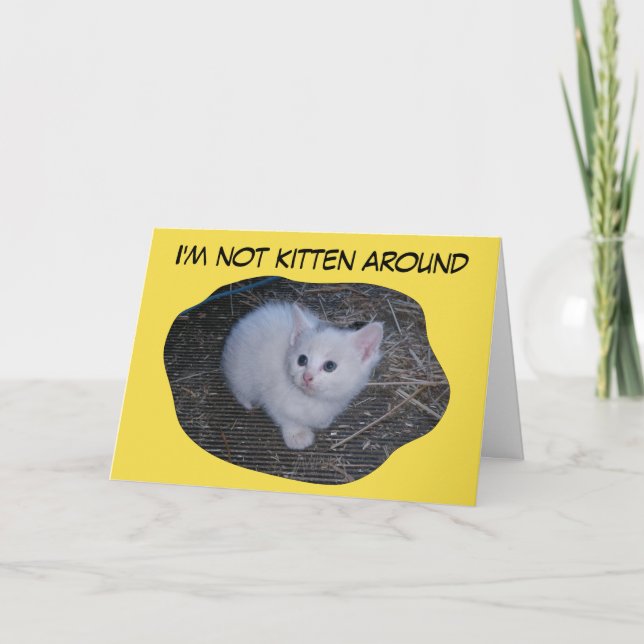 Not Kitten Around Card (Front)
